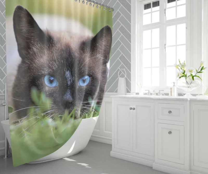 Blue-Eyed Cat Amidst Grass Nature Gaze Shower Curtain 1