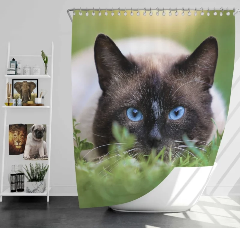 Blue-Eyed Cat Amidst Grass Nature Gaze Shower Curtain