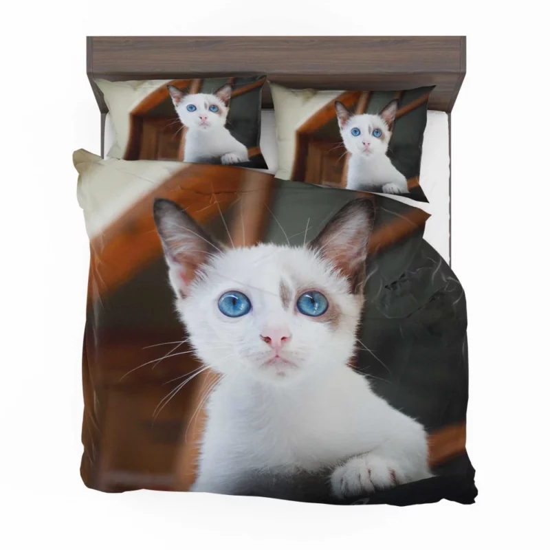 Blue-Eyed Kitten Innocent Wonder Bedding Set 1