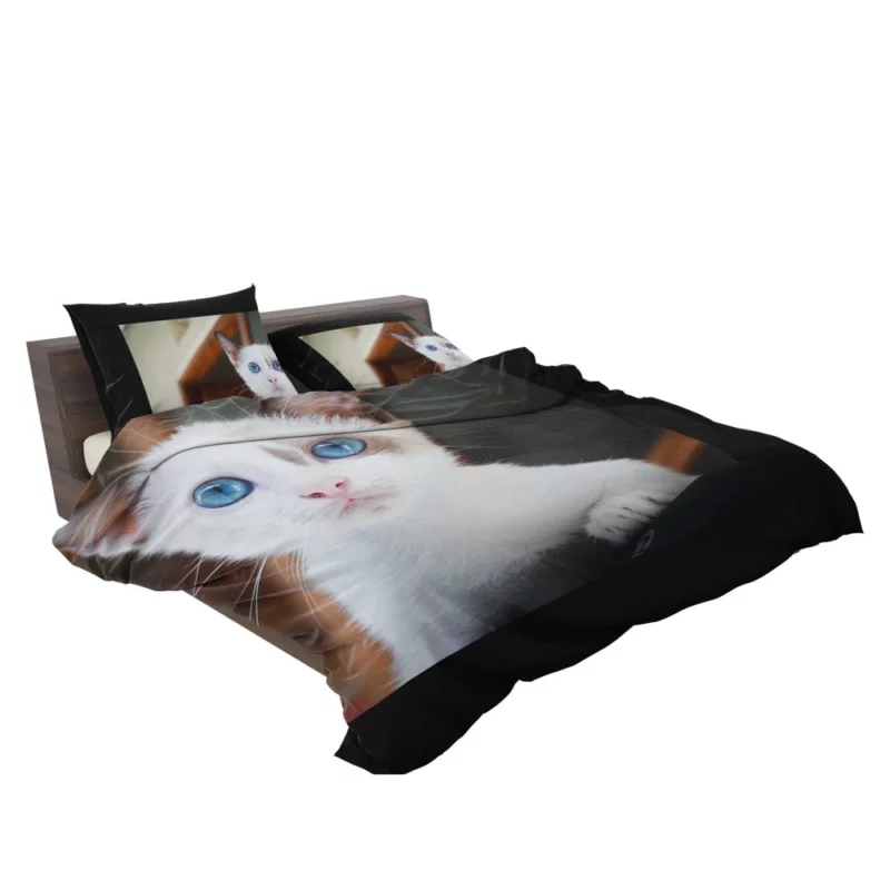 Blue-Eyed Kitten Innocent Wonder Bedding Set 2