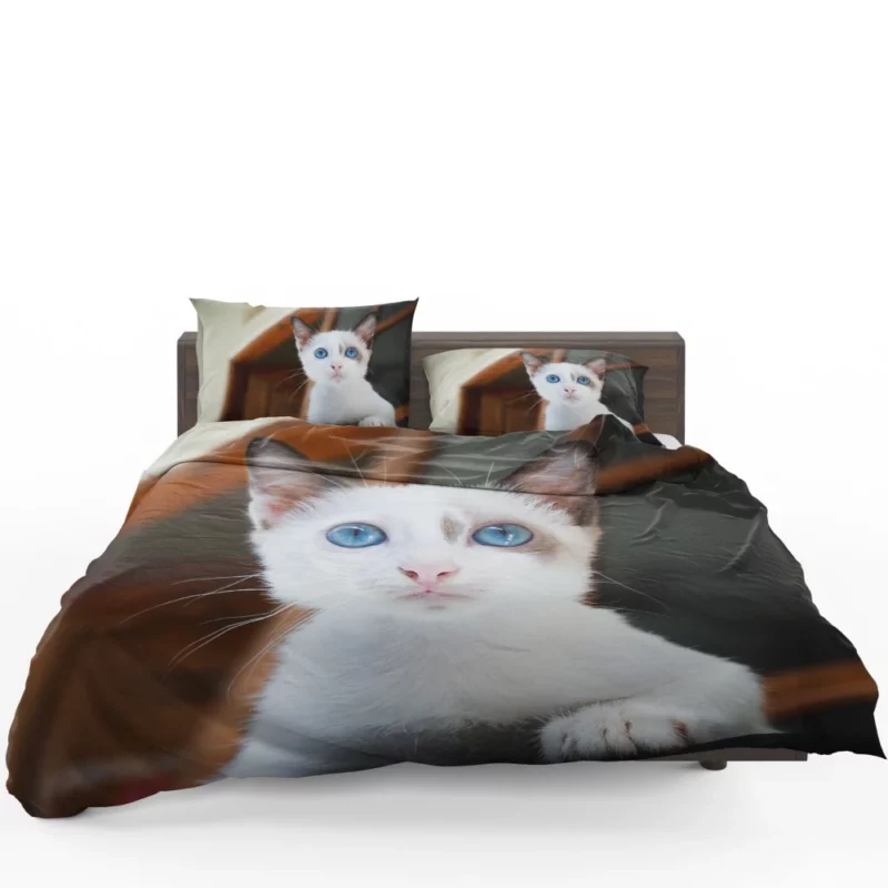 Blue-Eyed Kitten Innocent Wonder Bedding Set