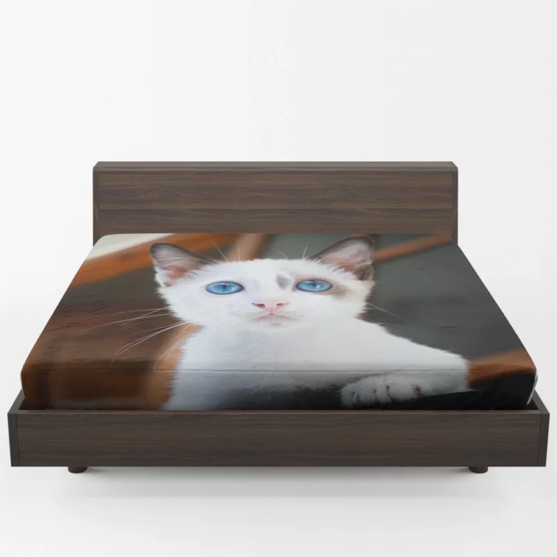 Blue-Eyed Kitten Innocent Wonder Fitted Sheet