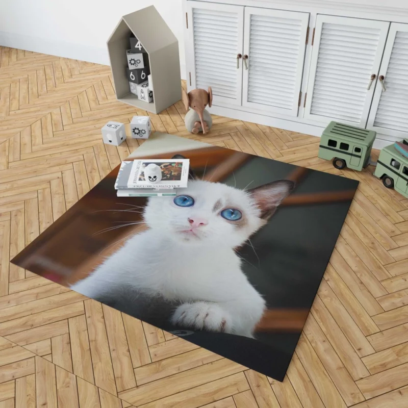 Blue-Eyed Kitten Innocent Wonder Rug 1