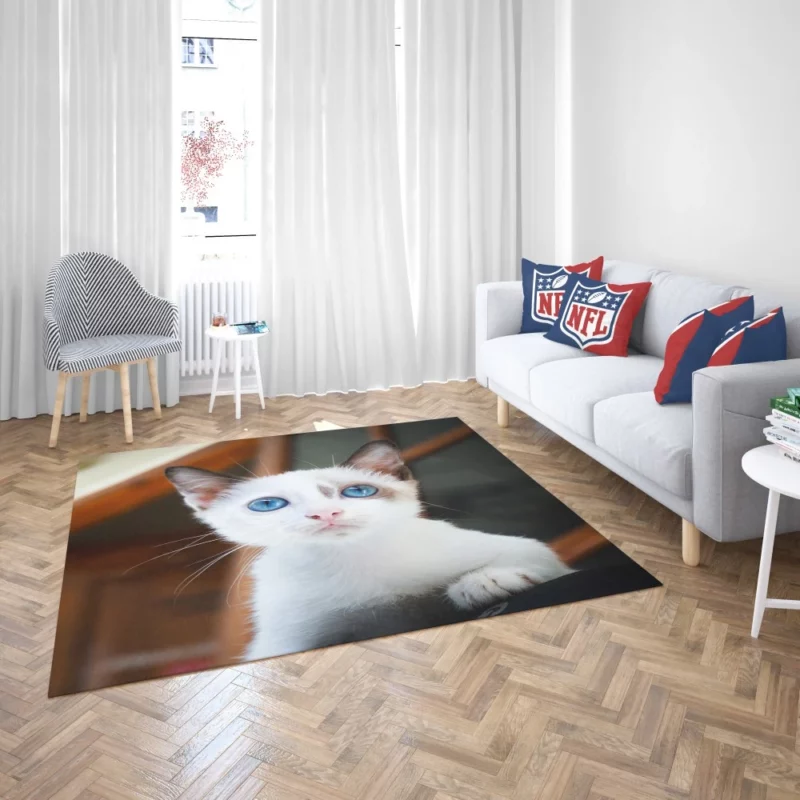 Blue-Eyed Kitten Innocent Wonder Rug 2