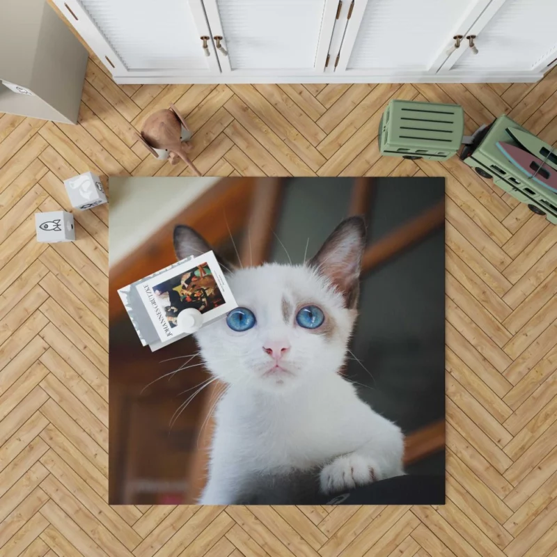 Blue-Eyed Kitten Innocent Wonder Rug