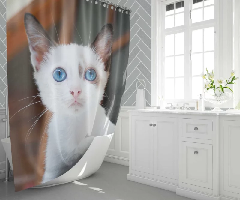 Blue-Eyed Kitten Innocent Wonder Shower Curtain 1