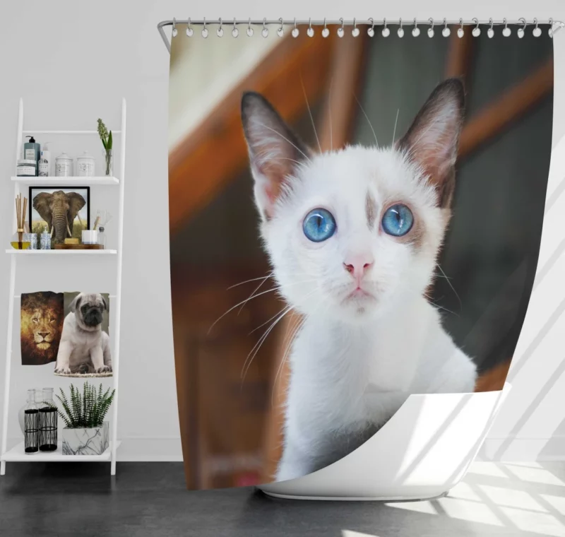 Blue-Eyed Kitten Innocent Wonder Shower Curtain