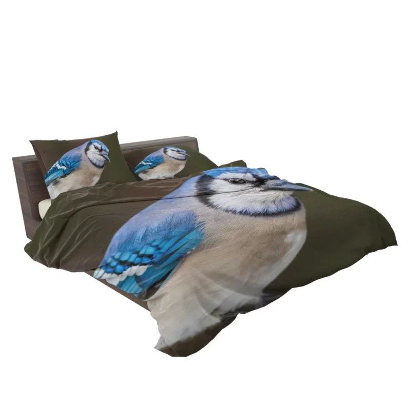 Blue Jay Close-Up Feathered Detail Bedding Set 2