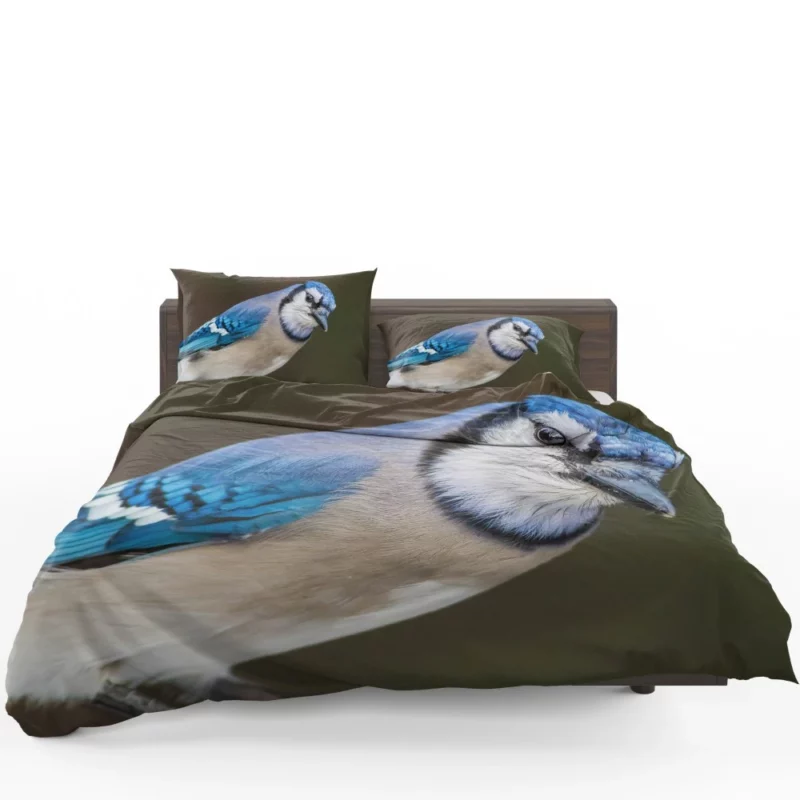 Blue Jay Close-Up Feathered Detail Bedding Set