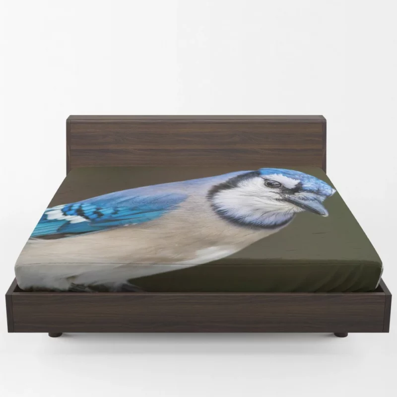 Blue Jay Close-Up Feathered Detail Fitted Sheet