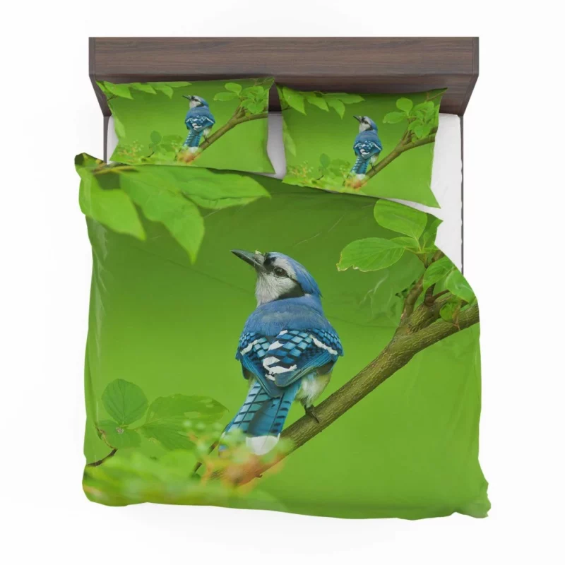 Blue Jay Leafy Perch Natural Harmony Bedding Set 1