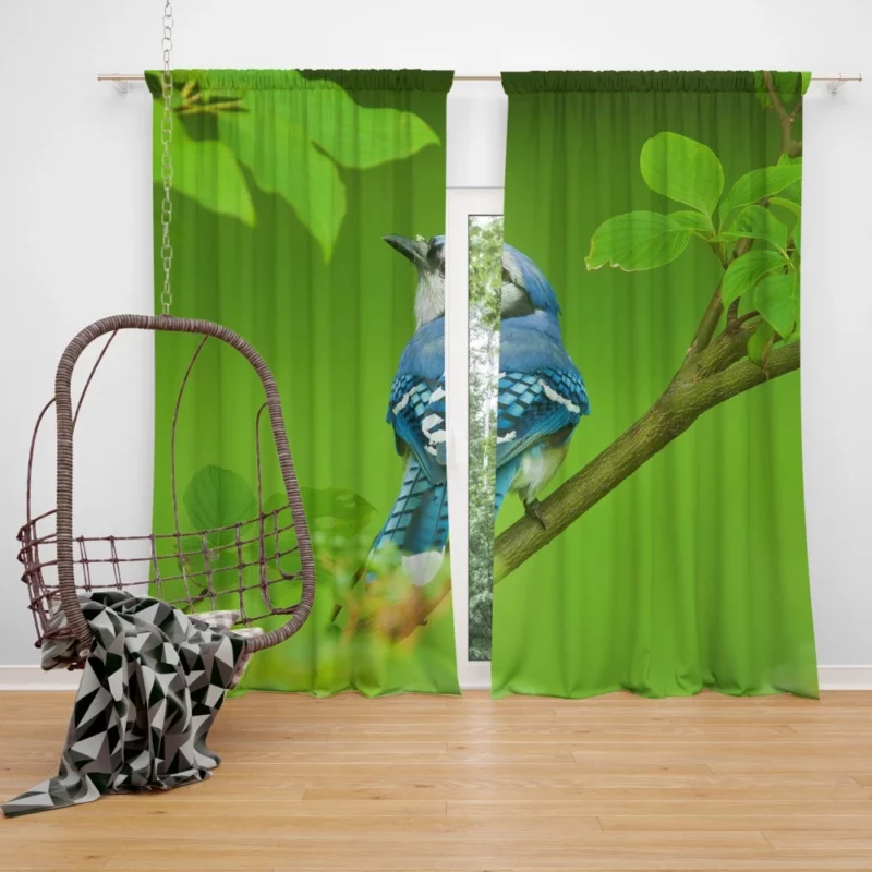 Blue Jay Leafy Perch Natural Harmony Curtain