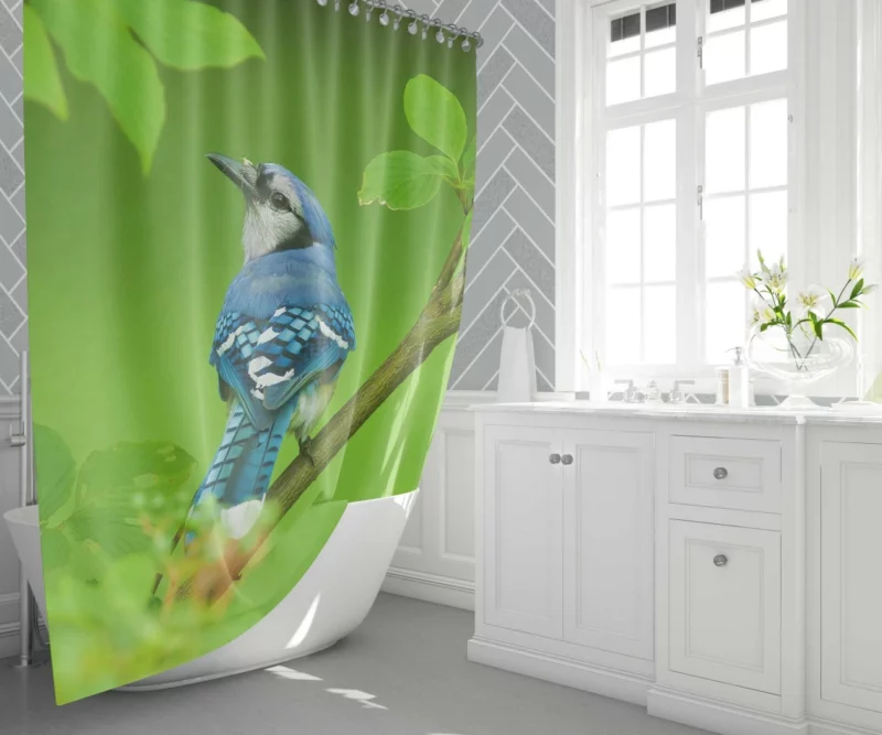 Blue Jay Leafy Perch Natural Harmony Shower Curtain 1