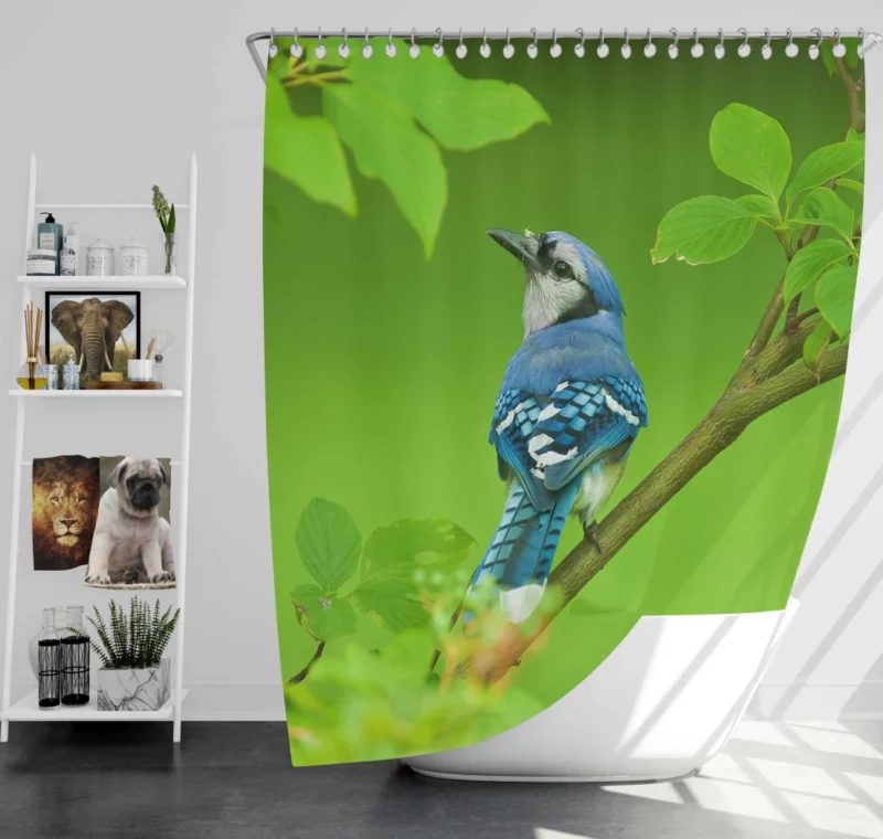 Blue Jay Leafy Perch Natural Harmony Shower Curtain