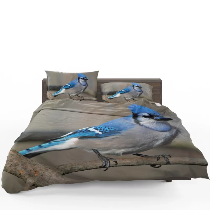 Blue Jay Radiant Charm Vibrant Bird Bedding Set