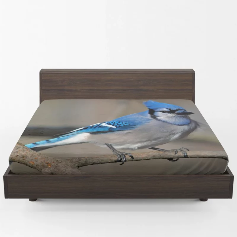 Blue Jay Radiant Charm Vibrant Bird Fitted Sheet