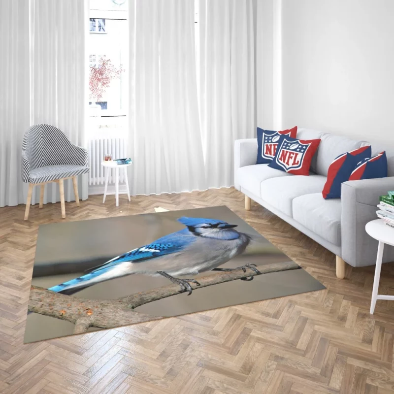 Blue Jay Radiant Charm Vibrant Bird Rug 2