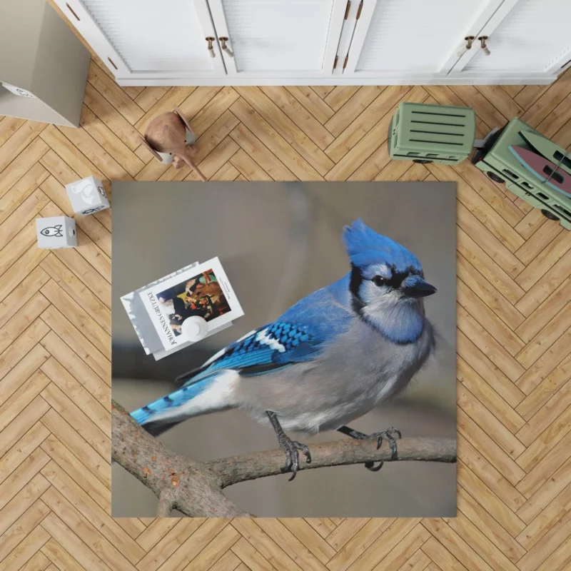 Blue Jay Radiant Charm Vibrant Bird Rug