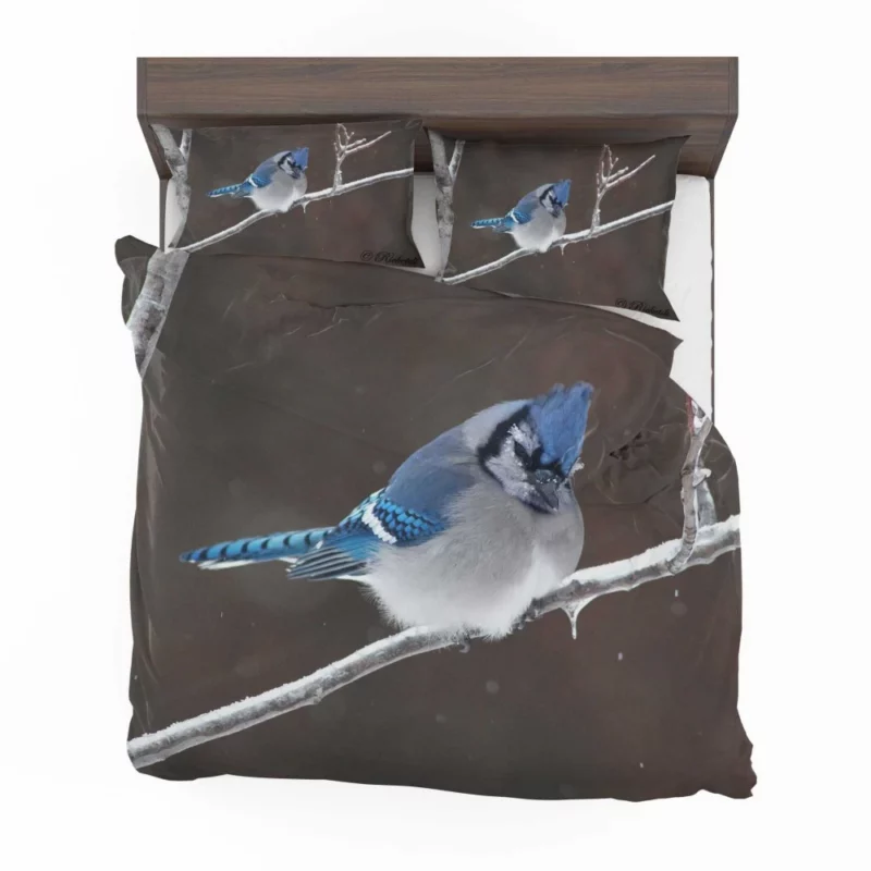 Blue Jay Vibrant Essence Colorful Avian Bedding Set 1