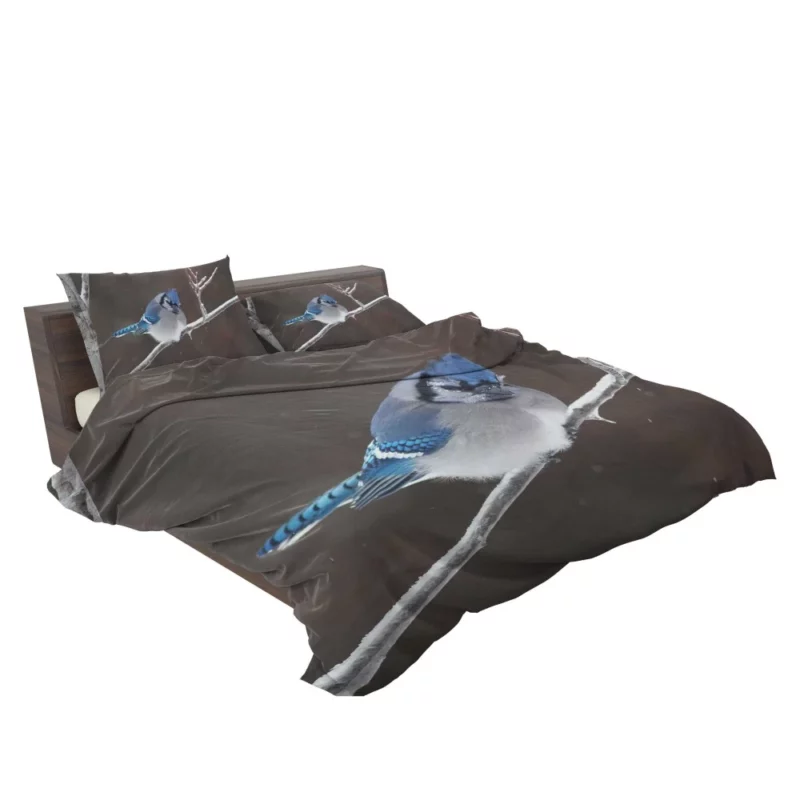 Blue Jay Vibrant Essence Colorful Avian Bedding Set 2