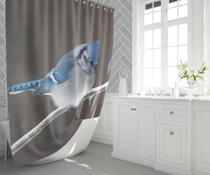 Blue Jay Vibrant Essence Colorful Avian Shower Curtain 1