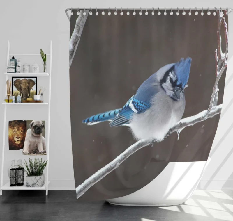 Blue Jay Vibrant Essence Colorful Avian Shower Curtain