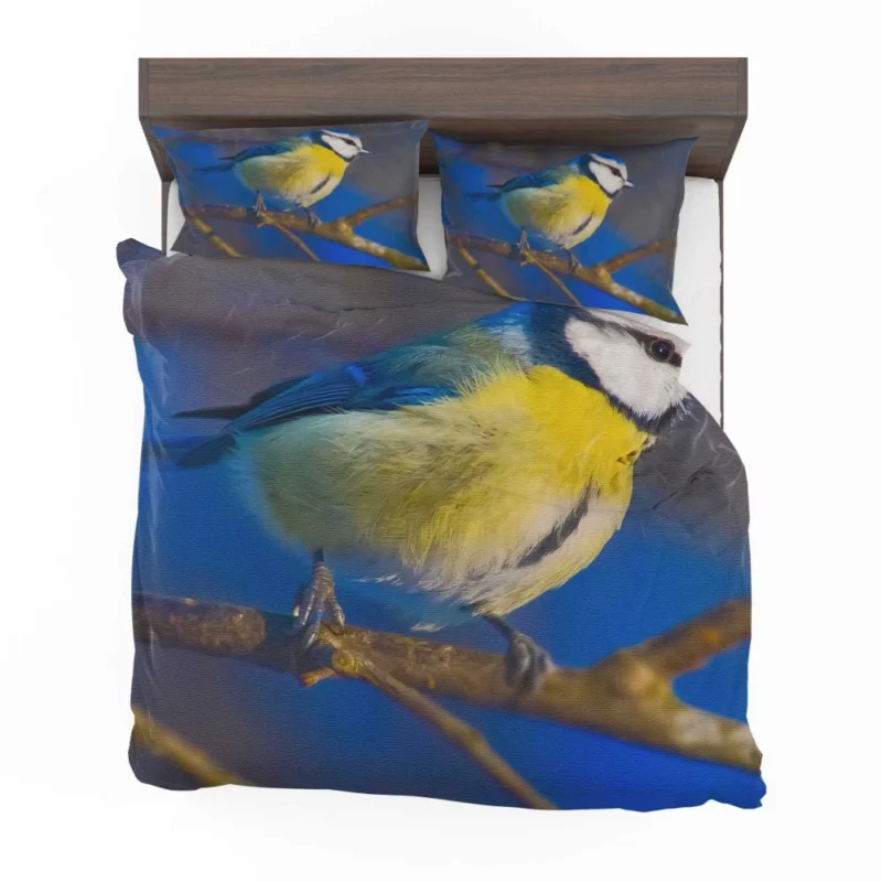 Blue Tit Canvas Print Avian Art Bedding Set 1