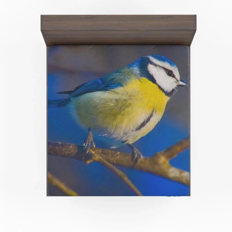 Blue Tit Canvas Print Avian Art Fitted Sheet 1