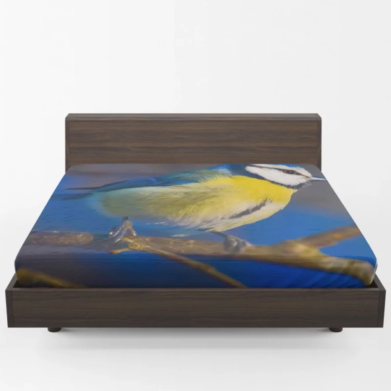 Blue Tit Canvas Print Avian Art Fitted Sheet