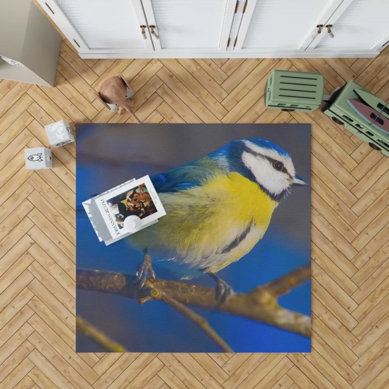 Blue Tit Canvas Print Avian Art Rug