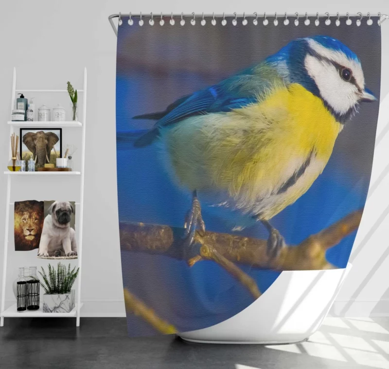 Blue Tit Canvas Print Avian Art Shower Curtain