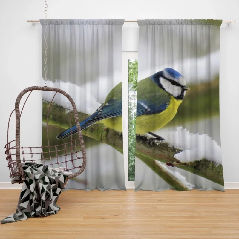 Blue Tit Snowy Perch Artful Bird Curtain