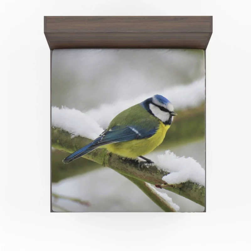 Blue Tit Snowy Perch Artful Bird Fitted Sheet 1