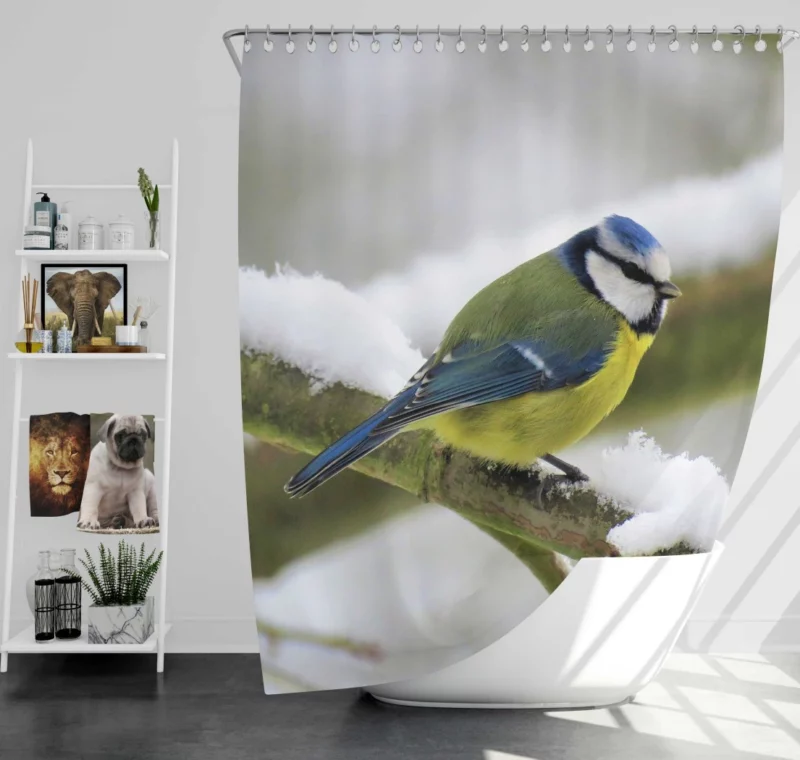 Blue Tit Snowy Perch Artful Bird Shower Curtain