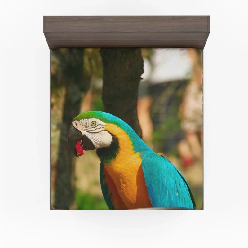 Blue-and-yellow Macaw Close-Up Beauty Fitted Sheet 1