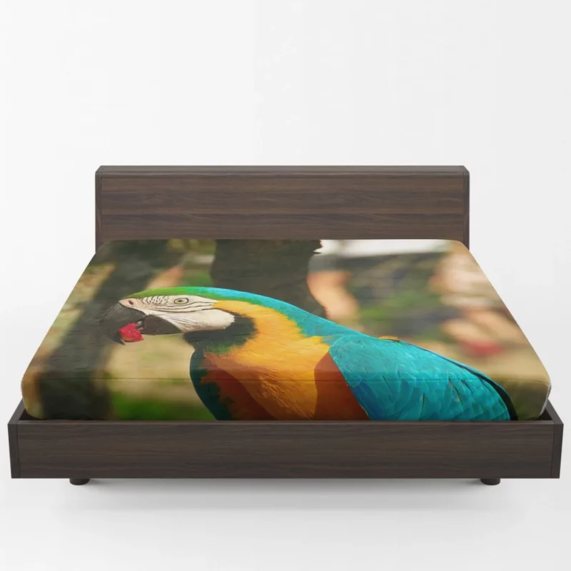 Blue-and-yellow Macaw Close-Up Beauty Fitted Sheet