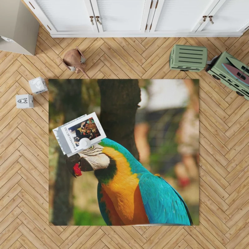 Blue-and-yellow Macaw Close-Up Beauty Rug