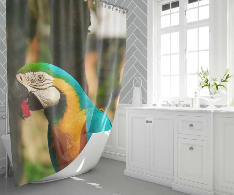 Blue-and-yellow Macaw Close-Up Beauty Shower Curtain 1