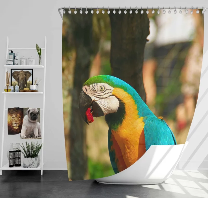 Blue-and-yellow Macaw Close-Up Beauty Shower Curtain