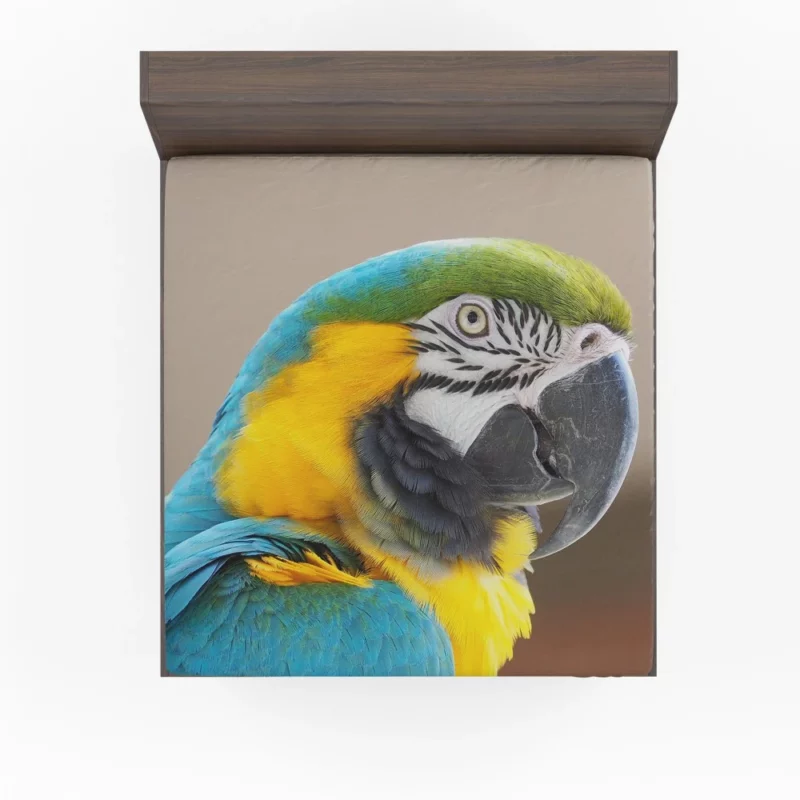 Blue-and-yellow Macaw Close-Up Elegance Fitted Sheet 1