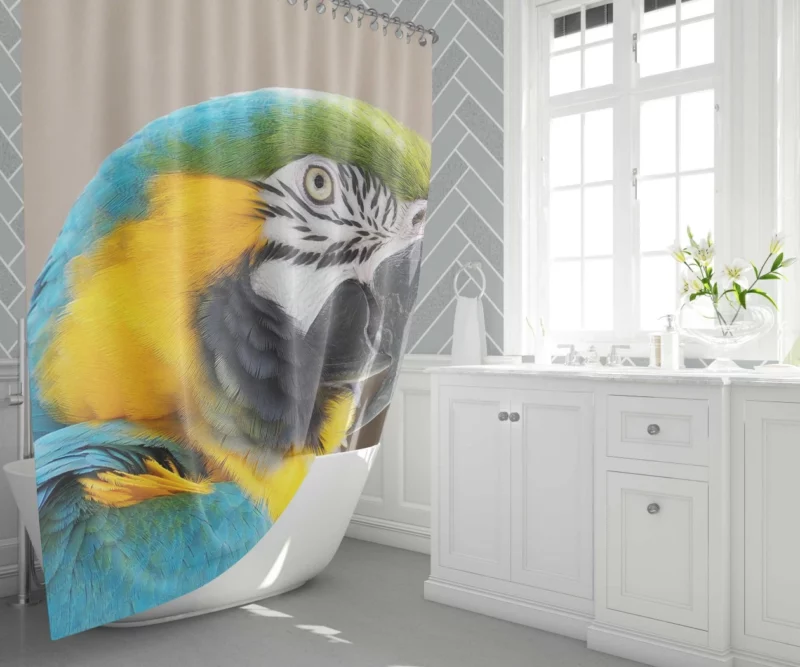 Blue-and-yellow Macaw Close-Up Elegance Shower Curtain 1