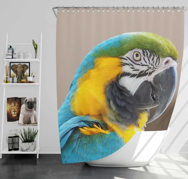 Blue-and-yellow Macaw Close-Up Elegance Shower Curtain