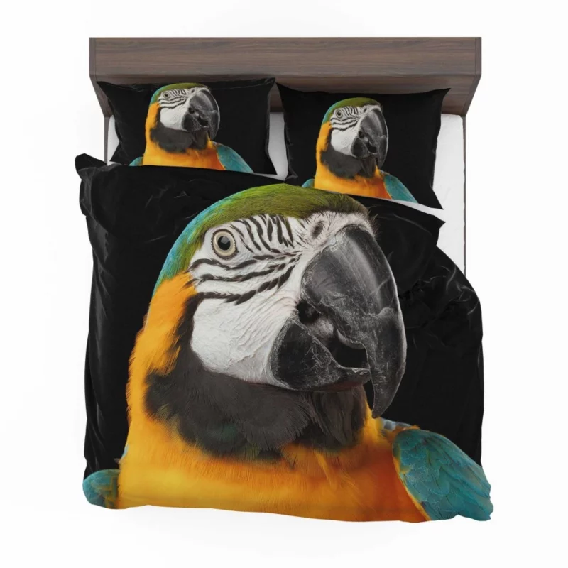 Blue-and-yellow Macaw Exotic Beauty Colorful Parrot Bedding Set 1