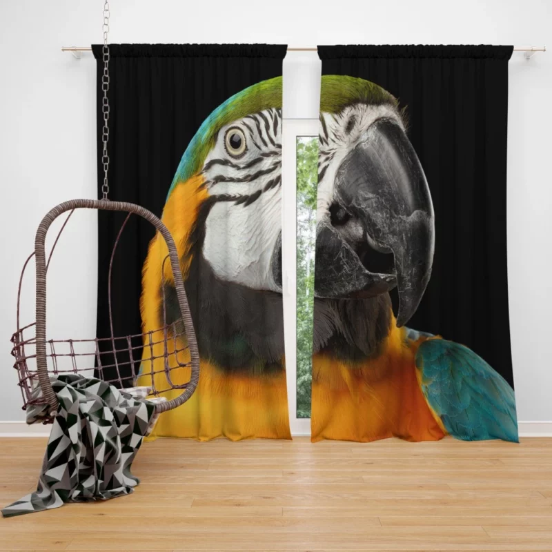 Blue-and-yellow Macaw Exotic Beauty Colorful Parrot Curtain