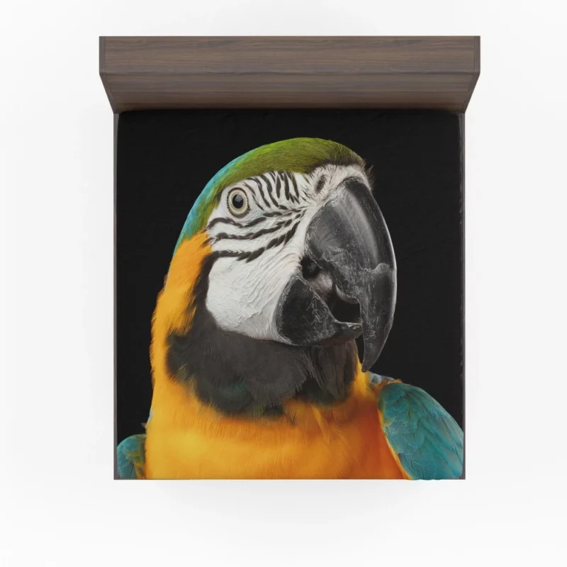 Blue-and-yellow Macaw Exotic Beauty Colorful Parrot Fitted Sheet 1