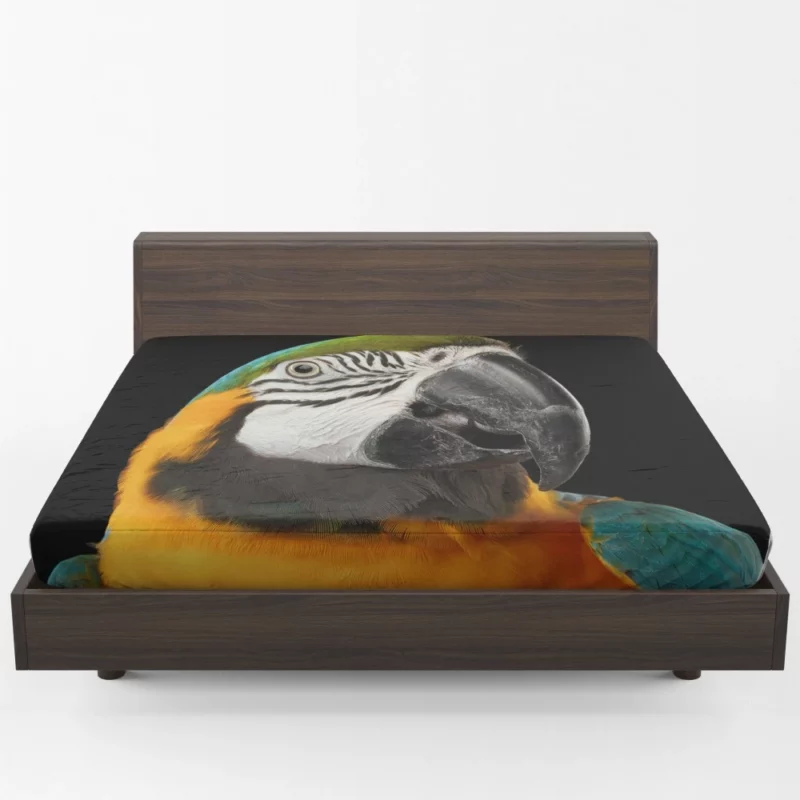 Blue-and-yellow Macaw Exotic Beauty Colorful Parrot Fitted Sheet