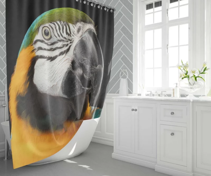 Blue-and-yellow Macaw Exotic Beauty Colorful Parrot Shower Curtain 1