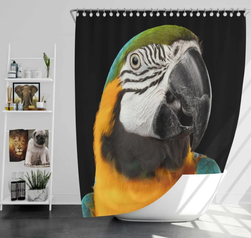 Blue-and-yellow Macaw Exotic Beauty Colorful Parrot Shower Curtain