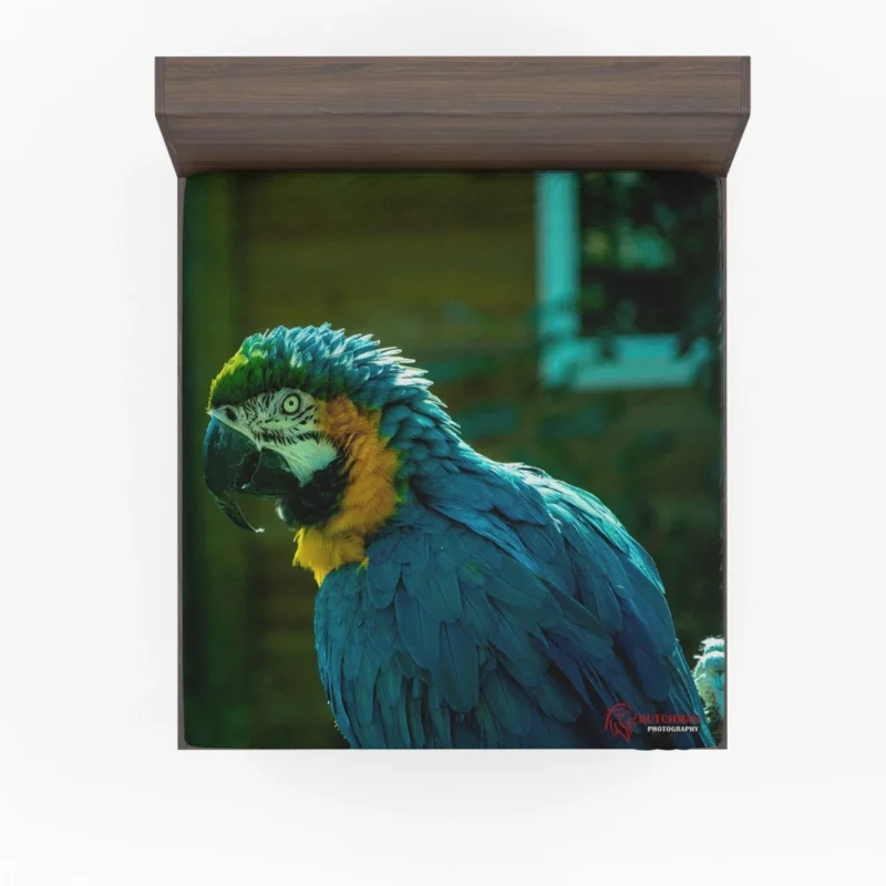 Blue-and-yellow Macaw Vibrant Portrait Parrot Elegance Fitted Sheet 1