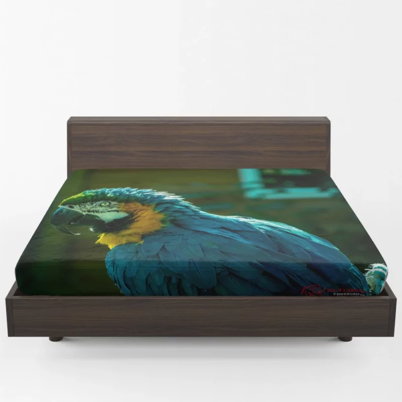 Blue-and-yellow Macaw Vibrant Portrait Parrot Elegance Fitted Sheet